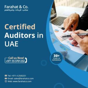 Professional Audit firm Dubai - Auditing services in UAE