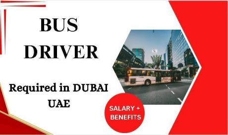 Bus driver Required in Dubai