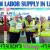Daily Basic labor supply in Ajman Dubai Sharjah Abudhabi