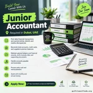 Junior Accountant Required in Dubai