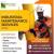 Rope Access Industrial Maintenance Services in Dubai Dubai