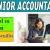 Junior Accountant Required in Dubai
