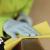Best Cleaning Company In Dubai | Cleaning Services in Dubai UAE - CleanTel