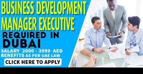 Business Development Executive Required in Dubai