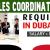 Sales Coordinator Required in Dubai