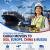 Cargo Movers to USA, Europe, China, Russia