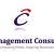CE Management Consultancy FZC