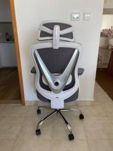 Ergonomic Office Chair with 3D Lumbar Support