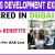 Business Development Executive Required in Dubai
