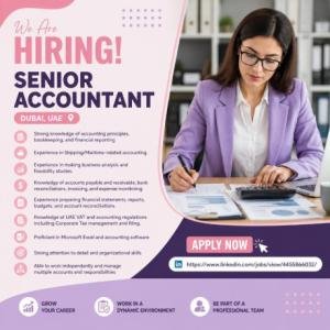 Senior Accountant Required in Dubai