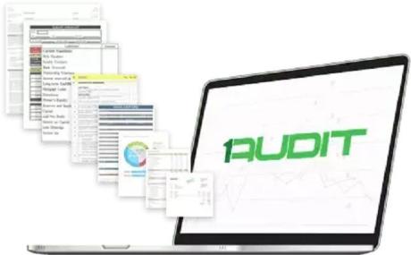 Cloud Based Audit Software