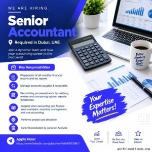 Senior Accountant Required in Dubai