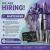 Bartender Required in Dubai