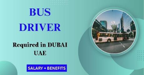 Bus Driver Required in Dubai