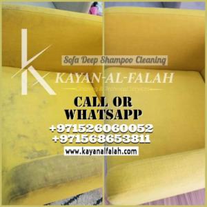 Sofa Deep Shampoo Cleaning