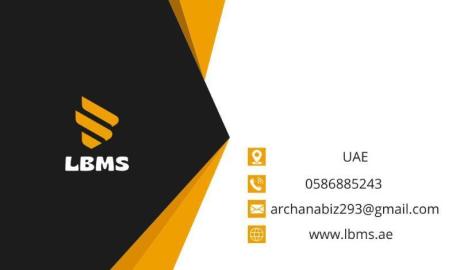 Business Setup Services