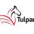 TulparGlobalTaxation