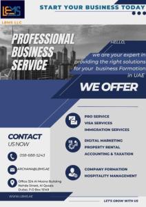 Advise on Aspects of Business Setup in UAE
