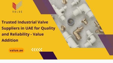 Trusted Industrial Valve Suppliers in UAE for Quality and Reliability - Value Addition