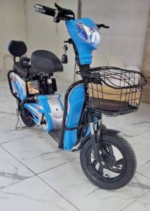 Kugoo Electric Delivery Bike