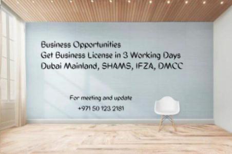 Professional Business License