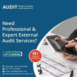 Need Professional & Expert External Audit Services in UAE?