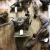 Excellent quality Taxidermy Mounts available for sale