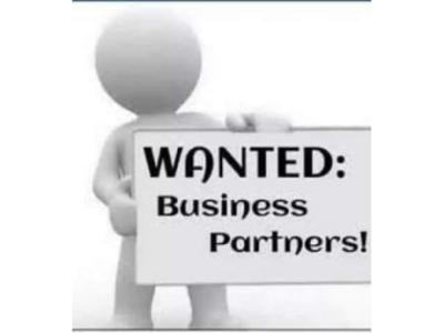 I am Seeking a Business Partner for a Long Term Investment