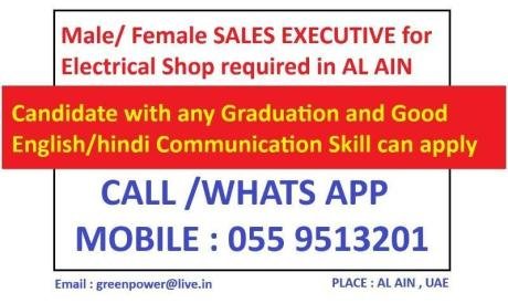 SALES EXECUTIVE