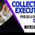 Collection Executive - Finance - UAE National Required in Dubai