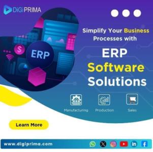 Optimize Your Business with Low-Budget Enterprise Resource Planning Software