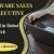 Software Sales Executive Required in Dubai