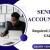 Senior Accountant Required in Dubai