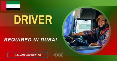 Driver Required in Dubai