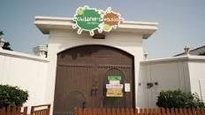 Children's Oasis Nursery