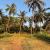 Beach front property in Payyambalam Kannur