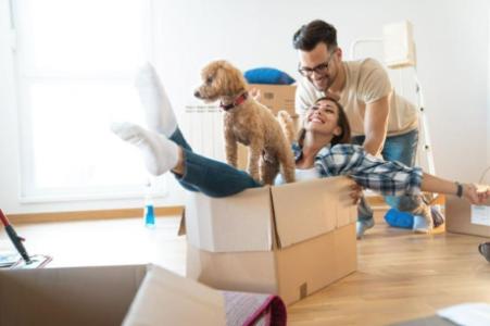 https://www.delightmovers.com/moving-within-abu-dhabi