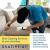 sofa cleaning services ajman 0547199189