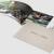 How Company Profile Design Dubai Strengthens Your Brand Identity