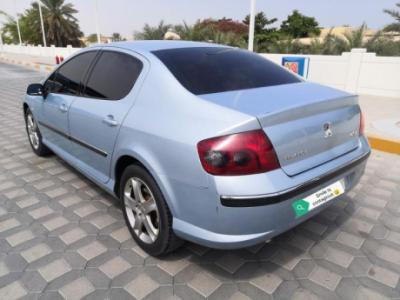 Peugeot 407. 2007