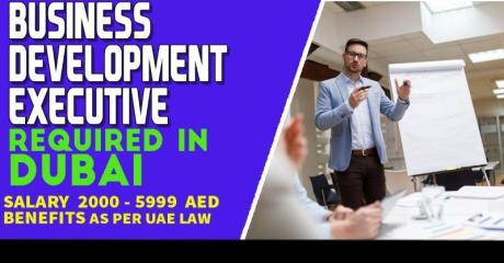 Business Development Executive Required in Dubai