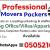 S .F Professional Fast Care Movers Packers Cheap And Safe In Dubai UAE