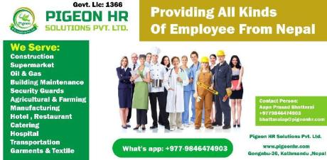 Providing All Kinds of Staff From Nepal
