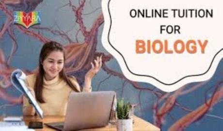 Biology Tuition Near Me – Class 12 Support That Brings Expert Guidance to Your Home