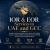 IOR and EOR Services in UAE and GCC