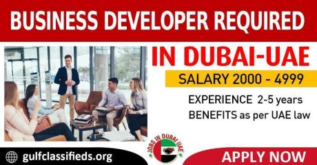 BUSINESS DEVELOPER REQUIRED REQUIRED IN DUBAI