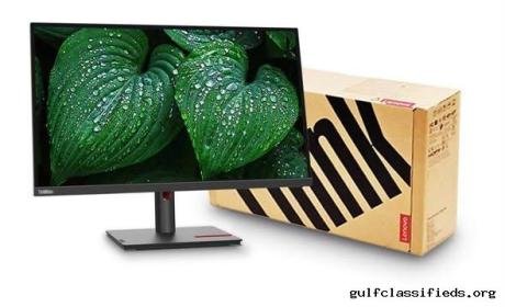 LENOVO MONITOR