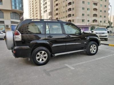 < PRADO > Model::-2008