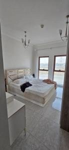 1 Bed 1 Bath Apartment