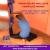 Swing Yoga Teachers Training in Dubai